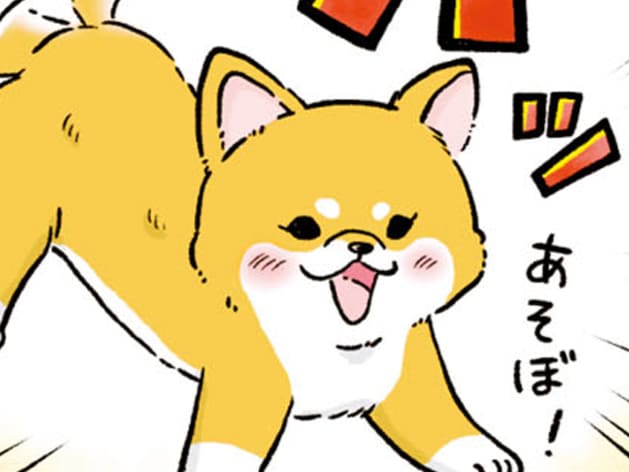 おしりを上げてしっぽをふる
