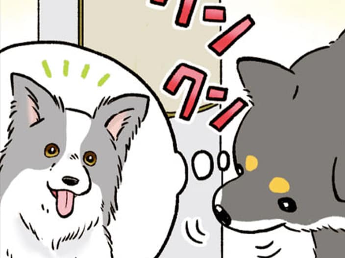 地面のにおいをクンクンかぐ