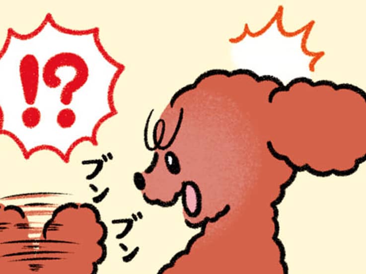 自分のしっぽを追ってグルグル回る