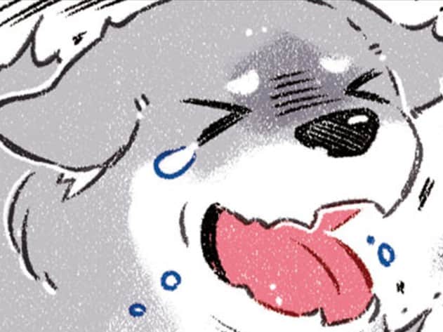 キャンッ！