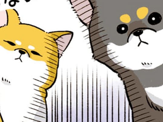 歯をむき出しにする