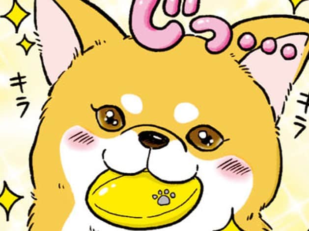 じっと見つめる