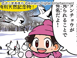 特別天然記念物！？（北海道/道東）