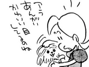 シット