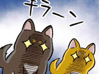 しっぽが高い位置でとまる