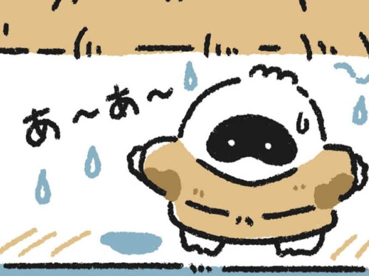 秋の田の～ / 春過ぎて～ / あしびきの～