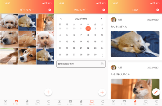 犬のスクリーンショット 自動的に生成された説明