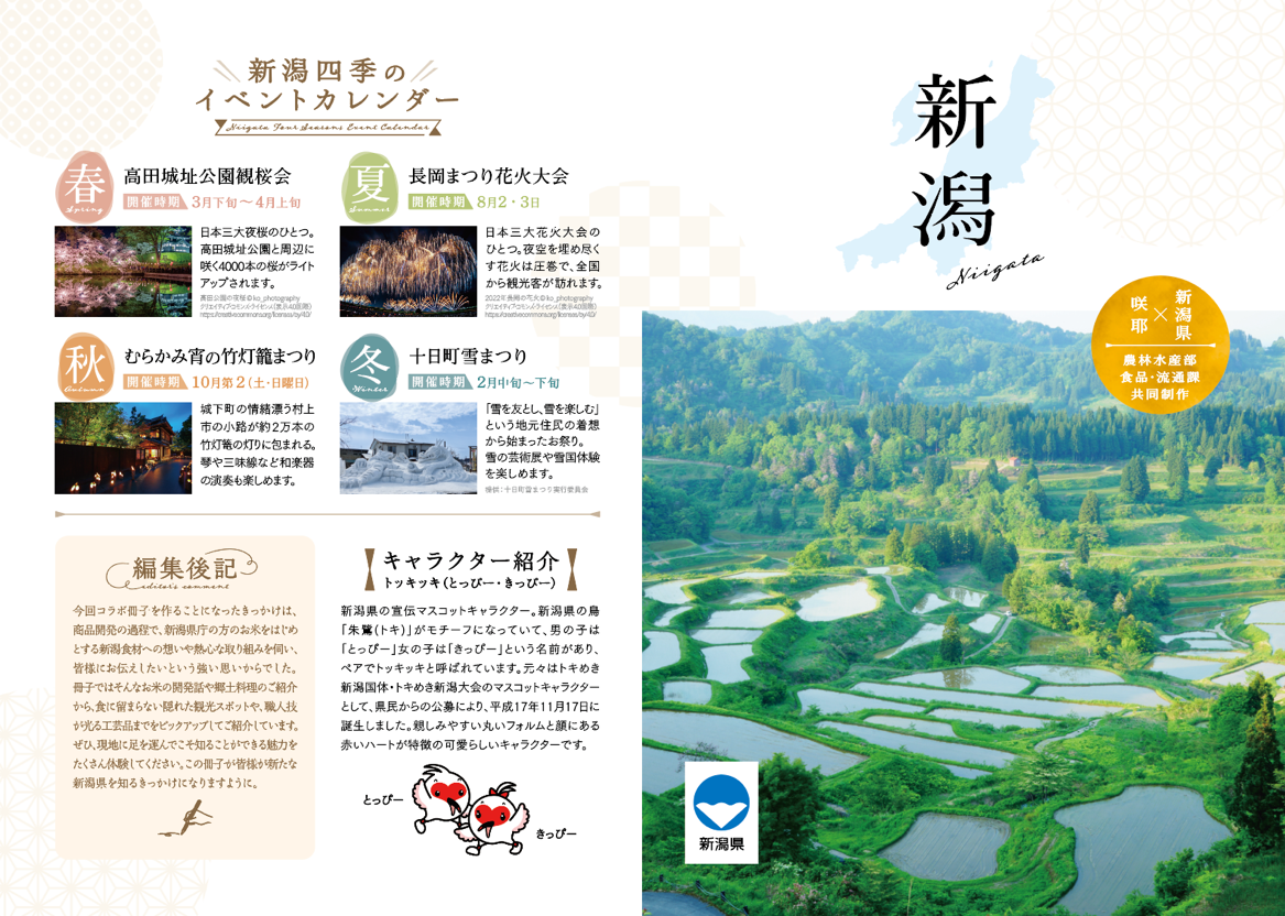 タイムライン 自動的に生成された説明