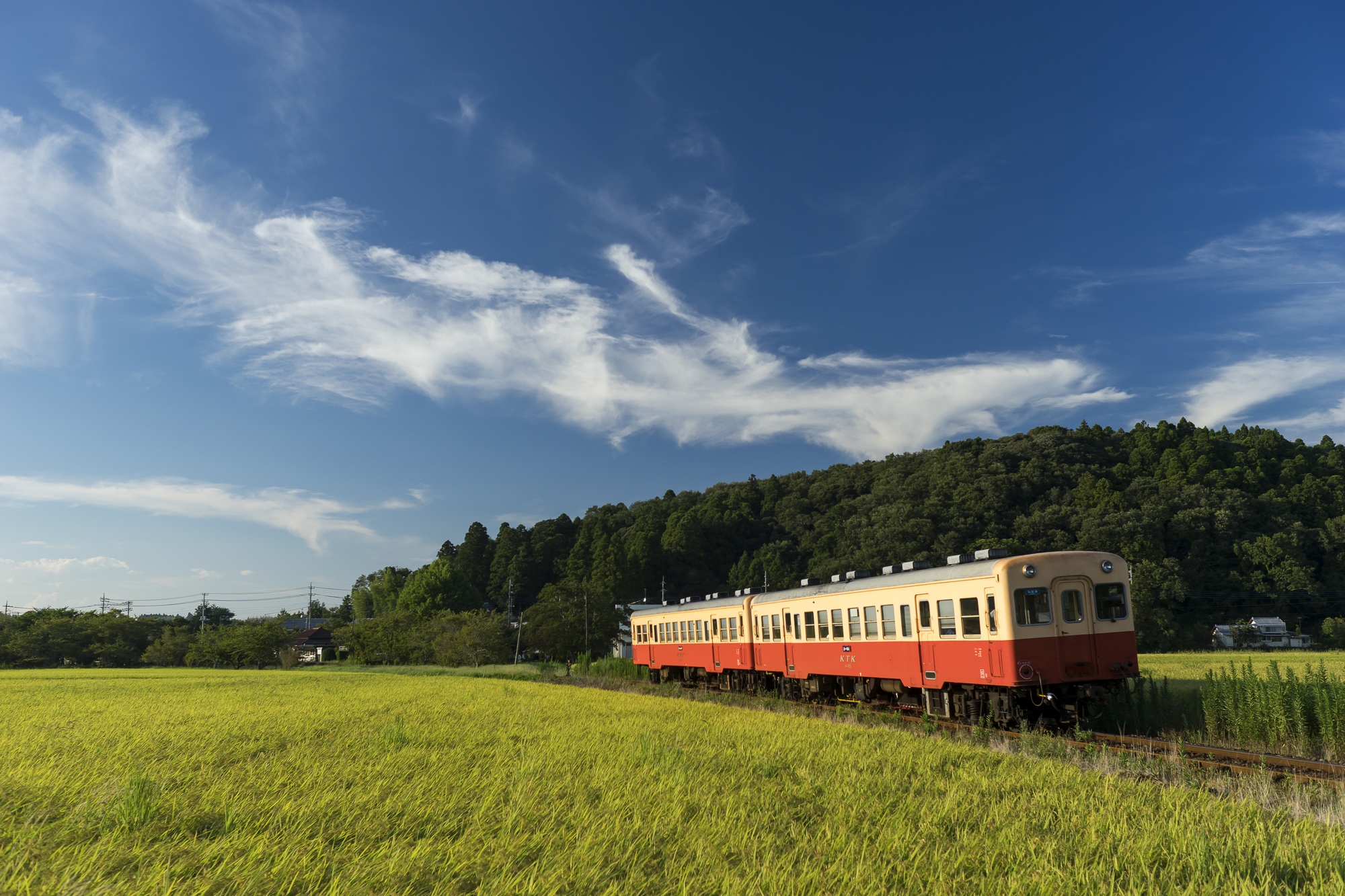 小湊鉄道re.jpg