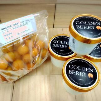 【春の福袋】ひんやり幸せ♪フローズンゴールデンベリーとジェラートアイスセット 福袋フローズンゴールデンベリー350g以上×1袋、ゴールデンベリーアイス120mlカップ ×4個入り 加工品/アイス通販