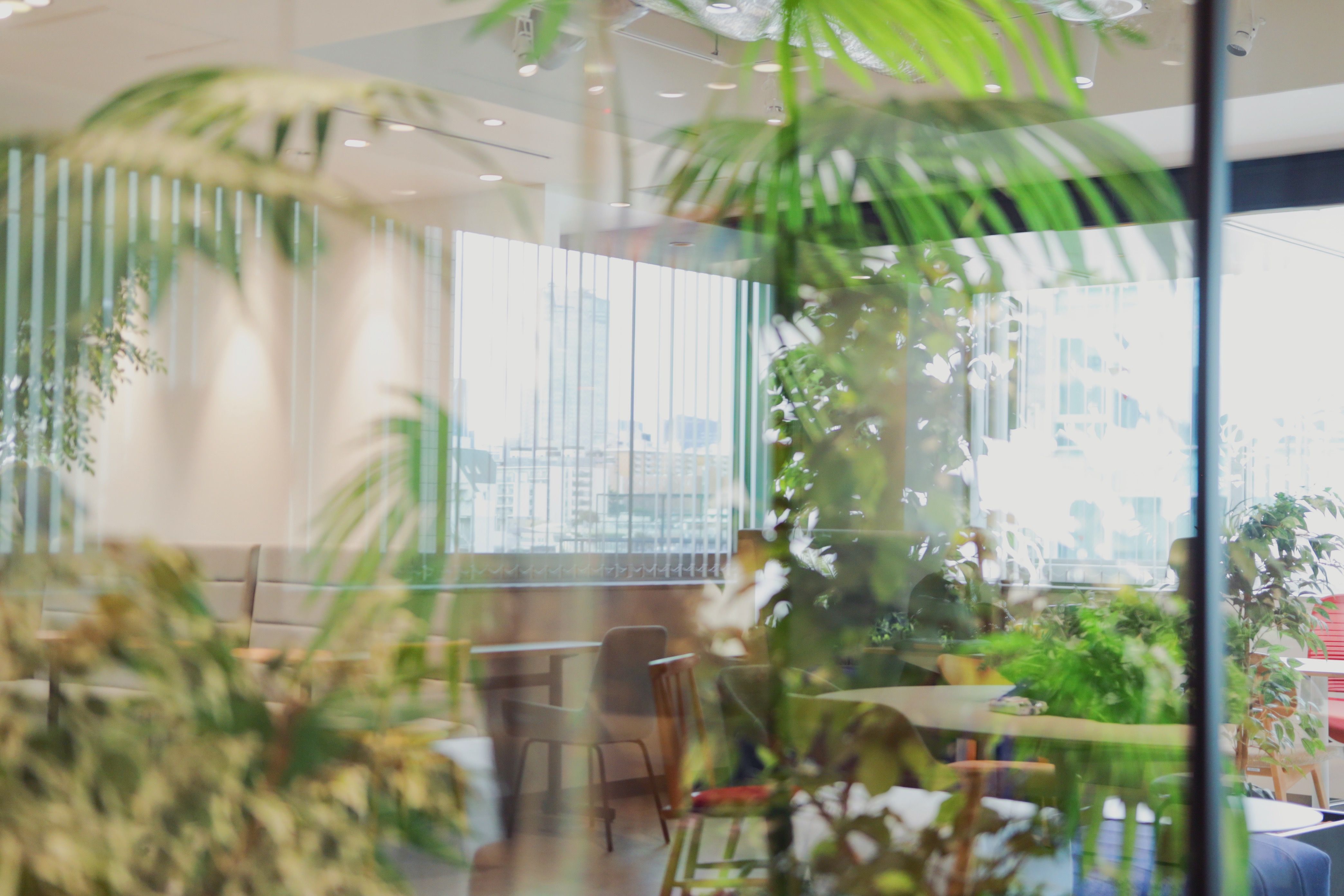 2E6A0038 (2)_VSCO.JPG