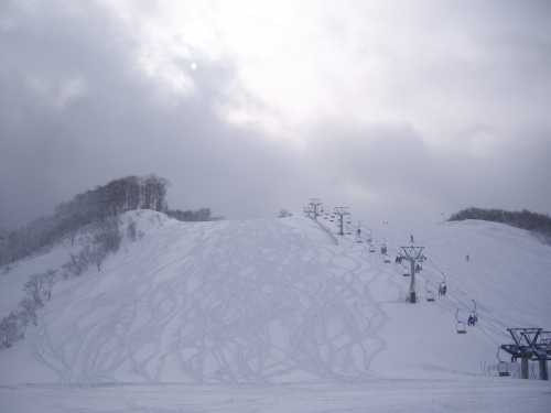 雪ねこさん