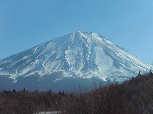 プロフィールさん