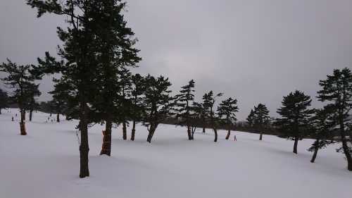 岡山県ヒデキさん