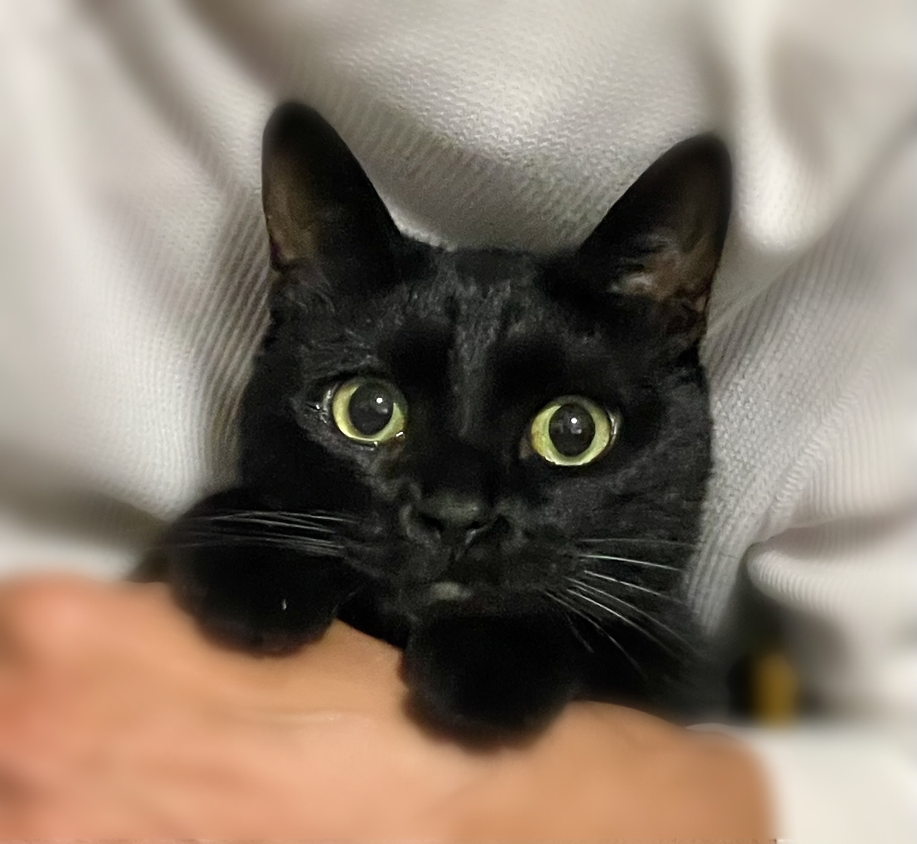 てらさん