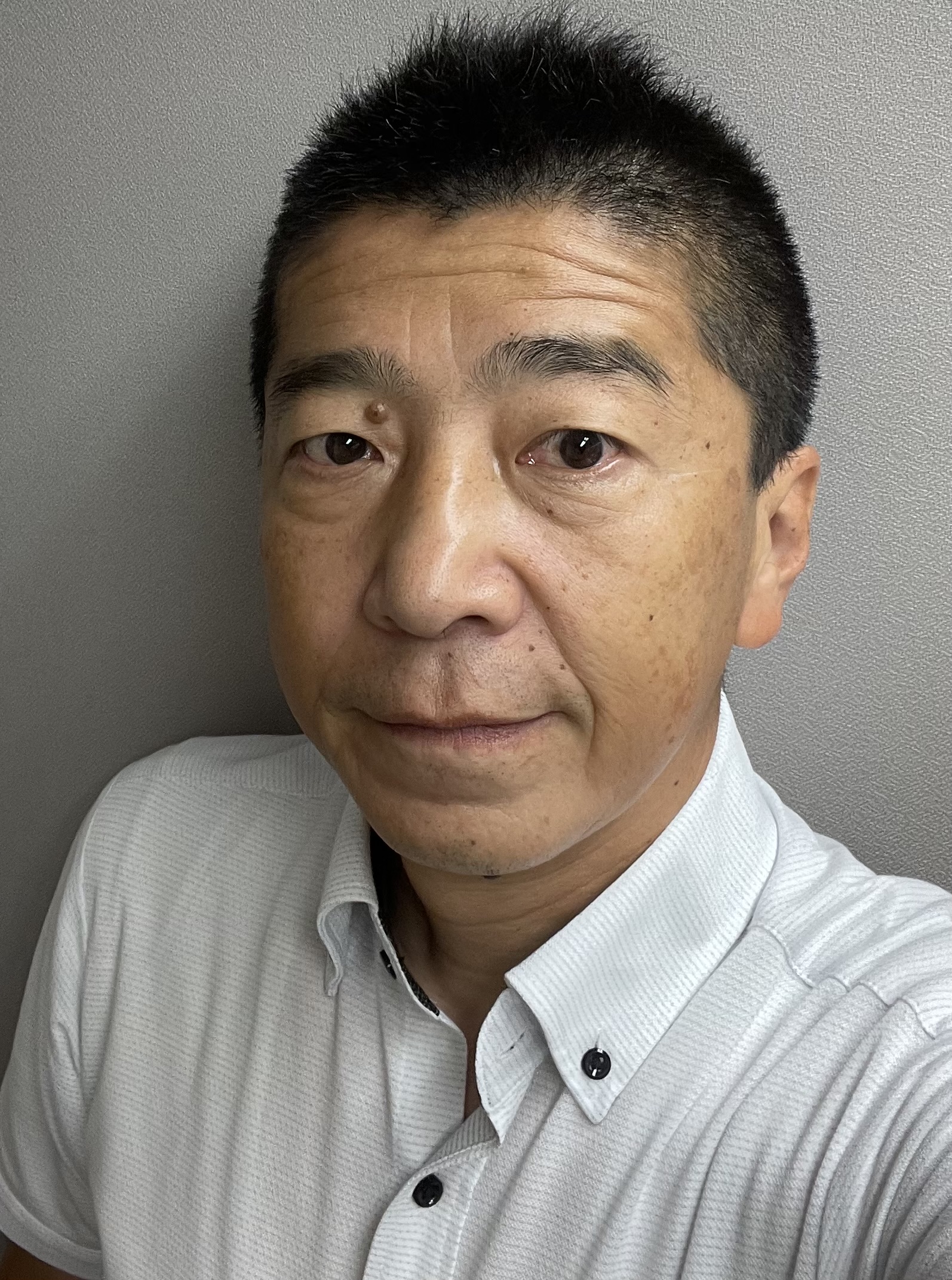 シノ