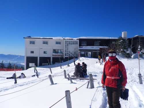 しんしゅっこさん