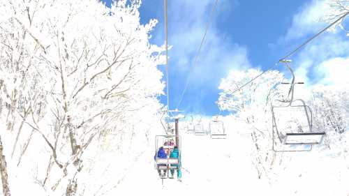 burtonstungunさん