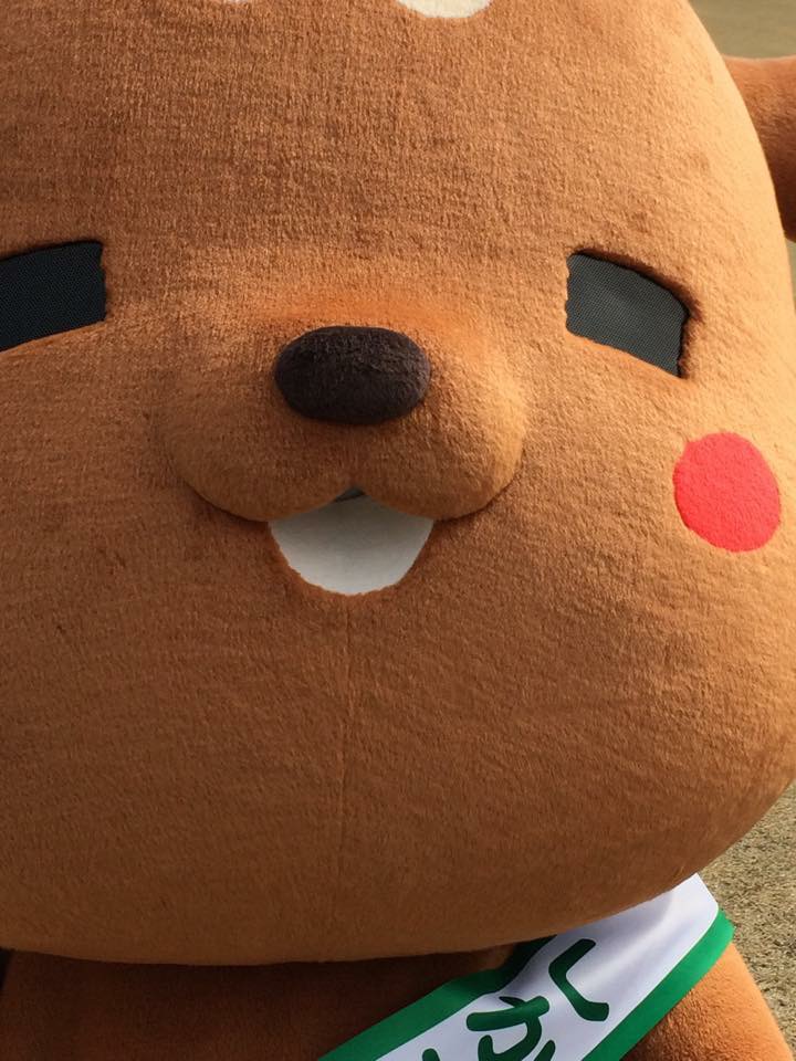のんちさん