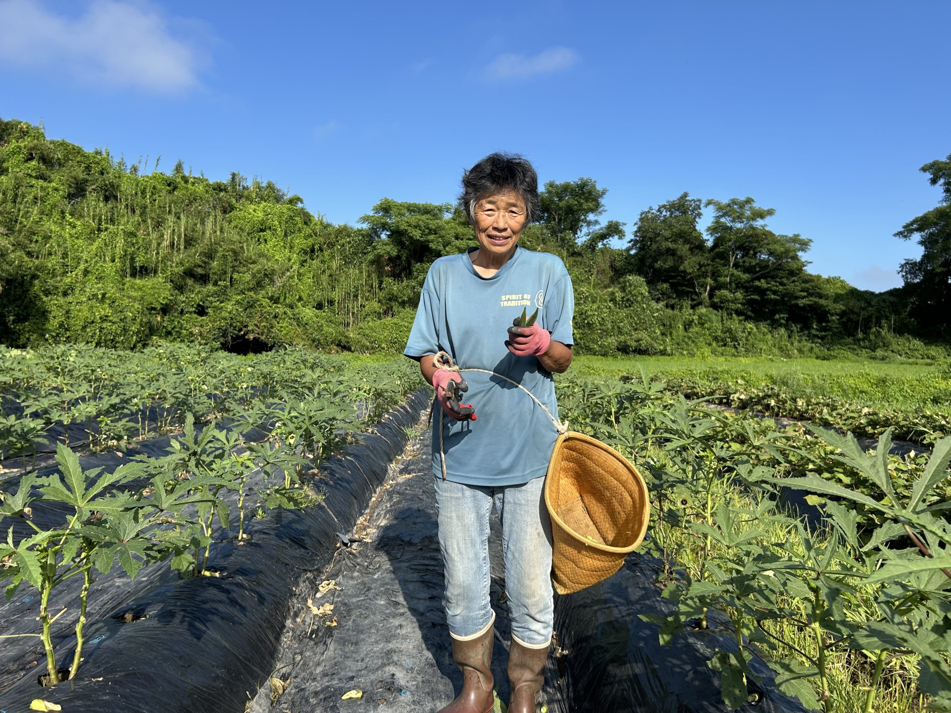 無農薬一筋20年、熊本県あさぎり町の「吉田農園」が後継者を募…