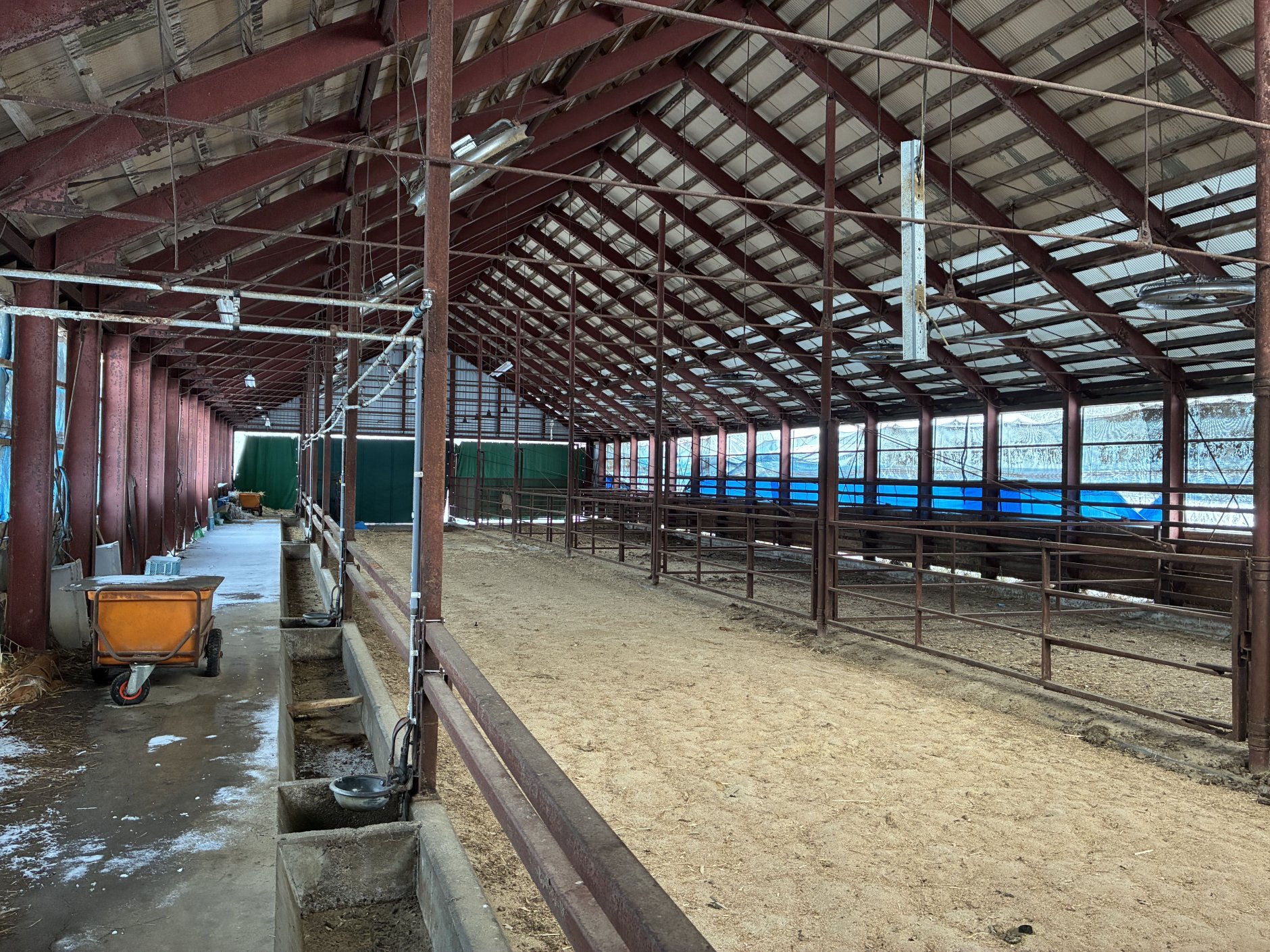 45年続けてきた子牛育成の現場。北海道旭川市の「櫨山牧場」が…