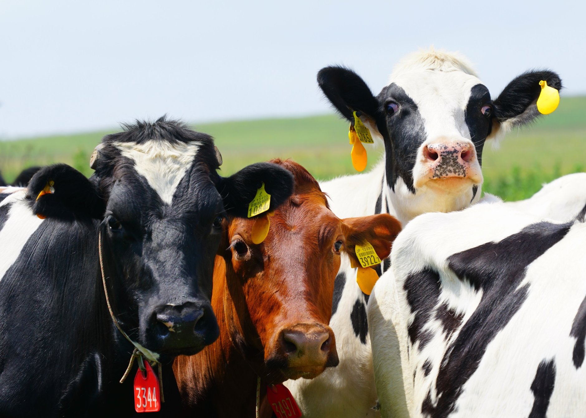 北海道雄武町の地域おこし協力隊として、地域の事業承継課題の…