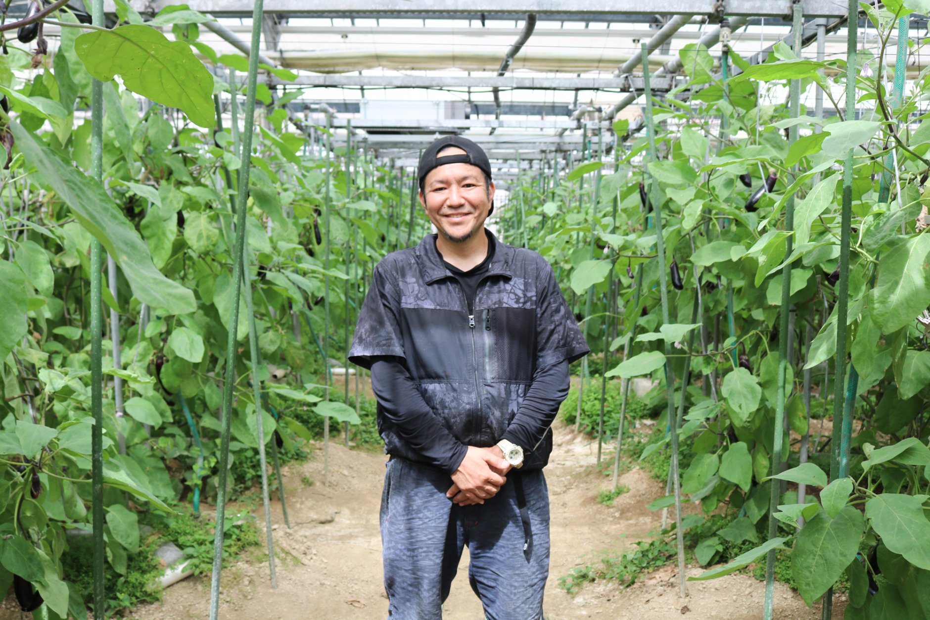 宮崎県宮崎市で、なす・きゅうりを栽培する「小玉農園」を引き…
