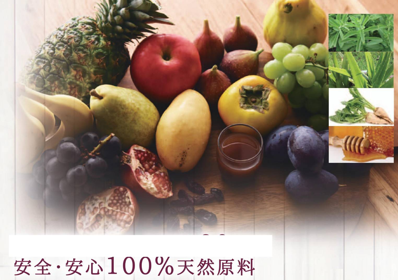 酵素食品の可能性を次の世代へ。神奈川県内の食品製造事業が後…