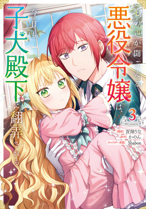 画像タイトル