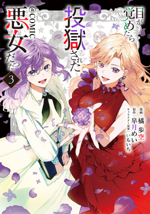 目が覚めたら投獄された悪女だった@COMIC 第3巻