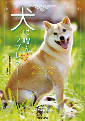 画像タイトル