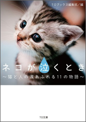 画像タイトル