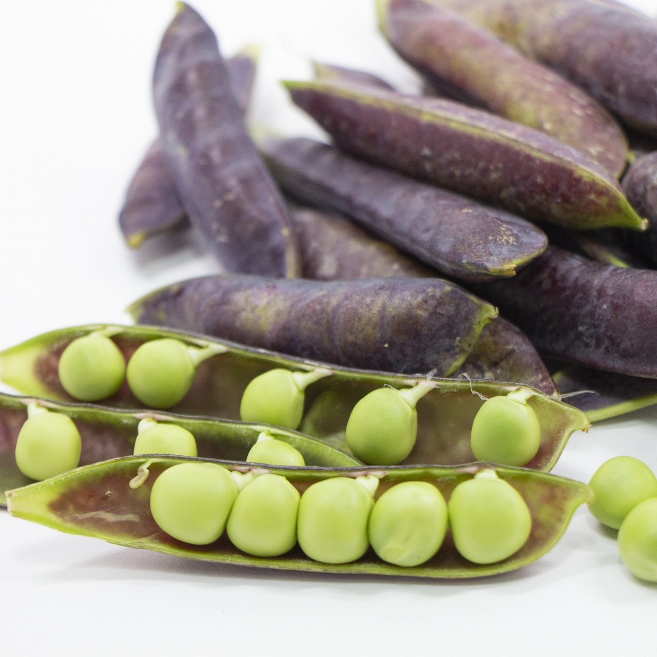 常温便】ツタンカーメンえんどう豆 1kg | 野菜/豆類 産直アウル 農家