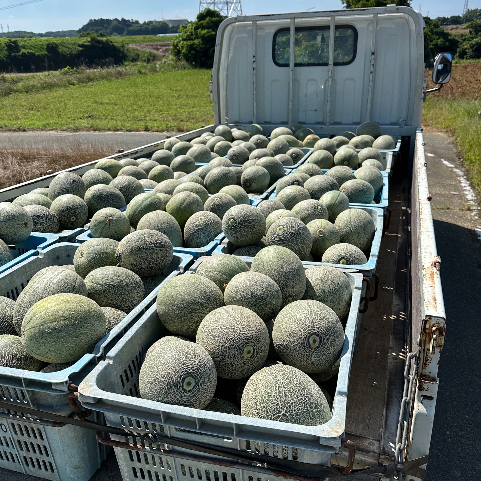 0030efd31f02d74aaeb8353e604ae0