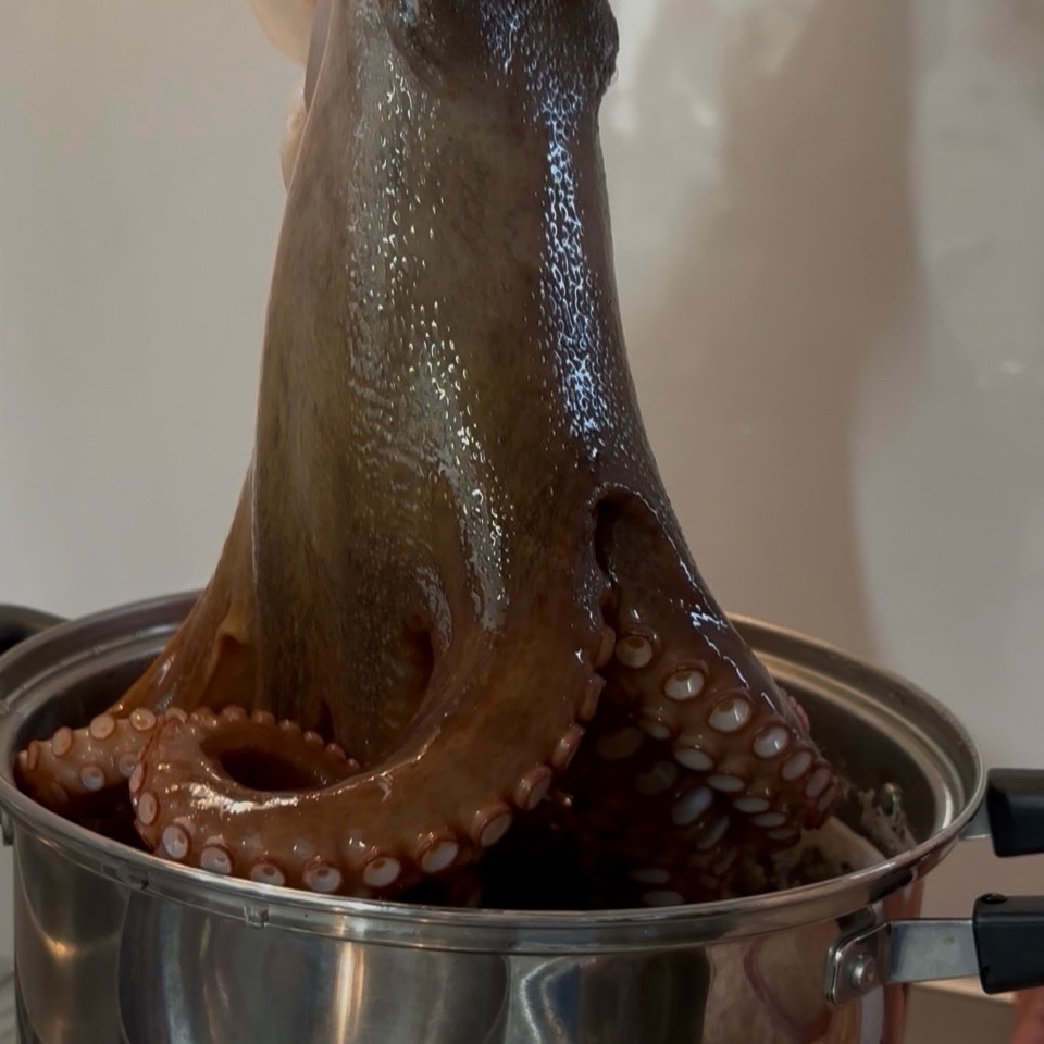 瀬戸内海産・産地直送『まだこ』 | 魚介類/タコ 産直アウル 農家から