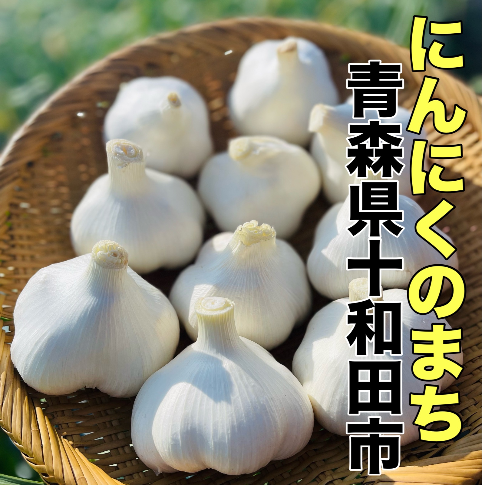 青森にんにくファーム（青森県・十和田市）｜生産者詳細｜産直アウル
