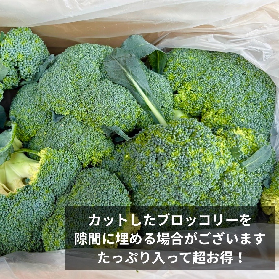ちょっと訳あり】ブロッコリー ｜ 野菜/ブロッコリー 産直アウル 農家