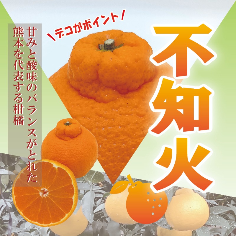 デコがポイント！不知火【小玉サイズ 家庭用 2.1～2.2kg】 | 果物