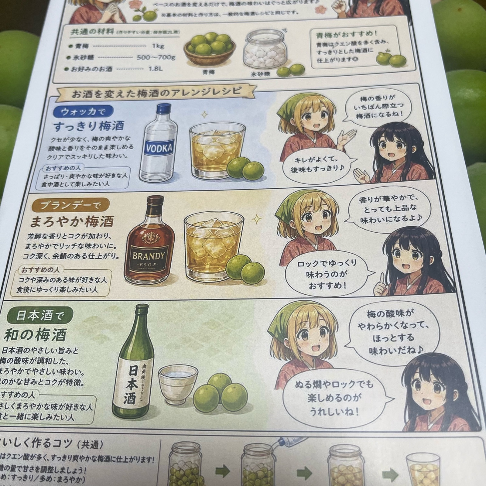 一個限定！本日朝もぎたて青梅 南高梅 ｜ 果物/青梅 産直アウル 農家
