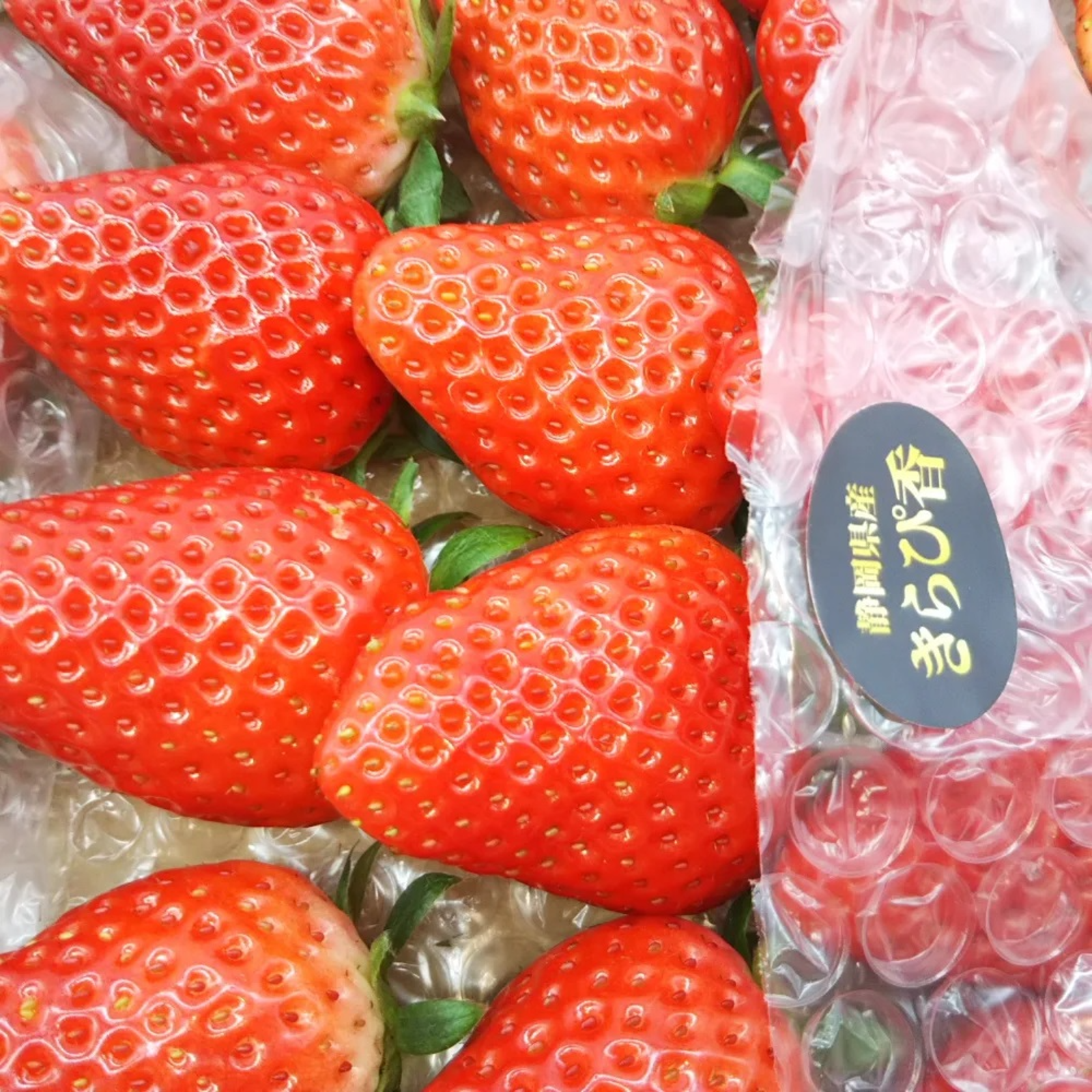 内容量約1000g】【今年はきらぴ香いちごをお届け！】【安定感抜群の