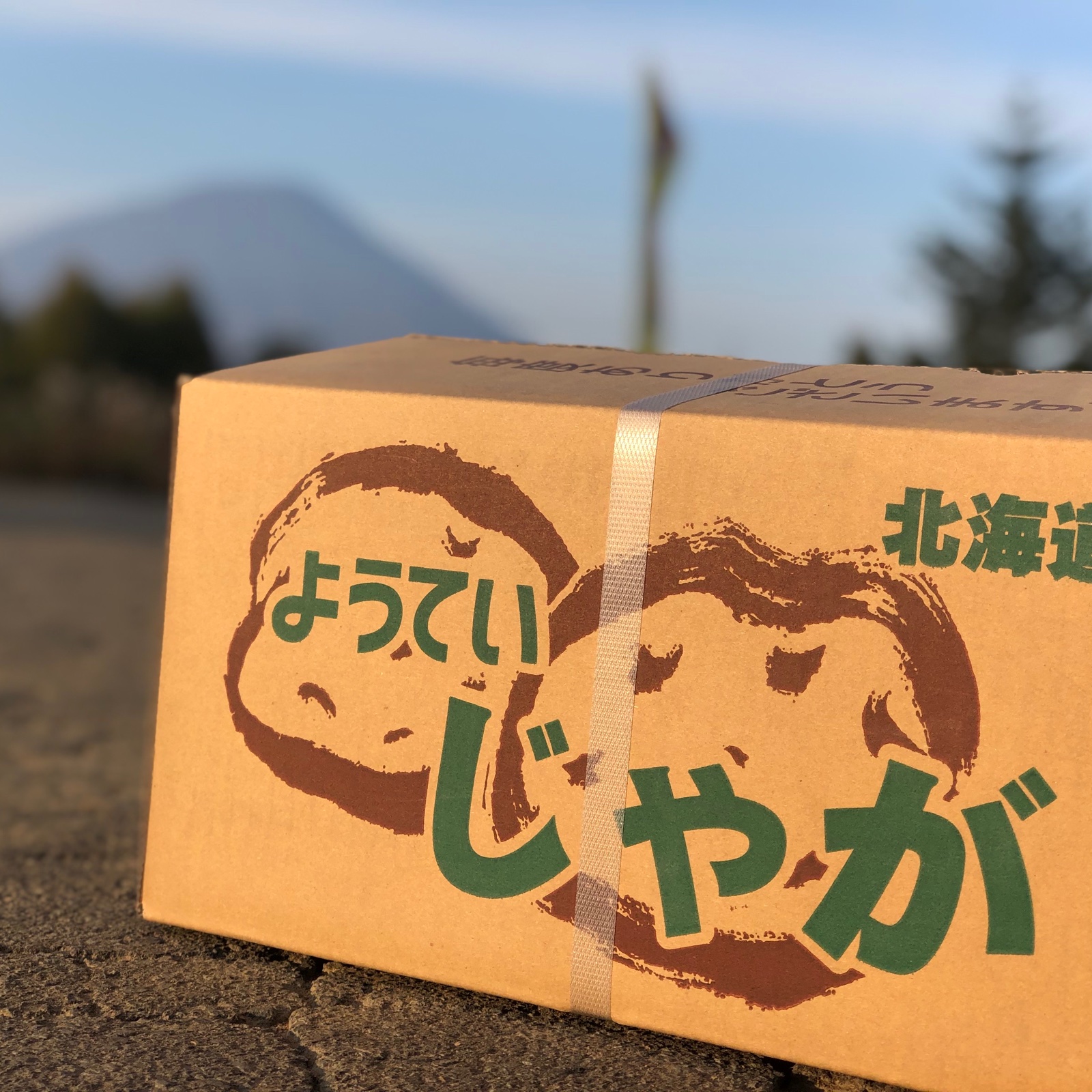 北海道産 キタカムイ特大サイズ(3L〜4L) 10kg ｜ 野菜/じゃがいも 産直