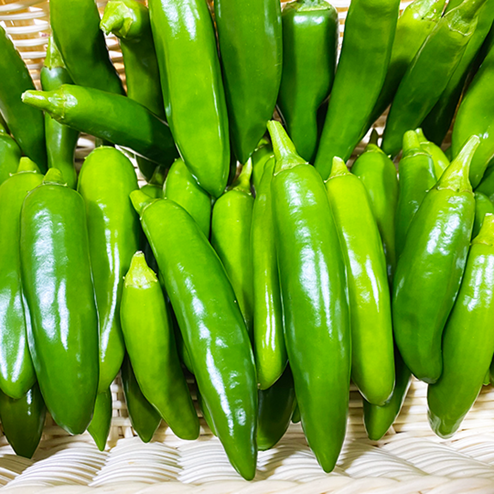 ハラペーニョ（約200g） | 野菜/スパイス 産直アウル 農家から直接野菜