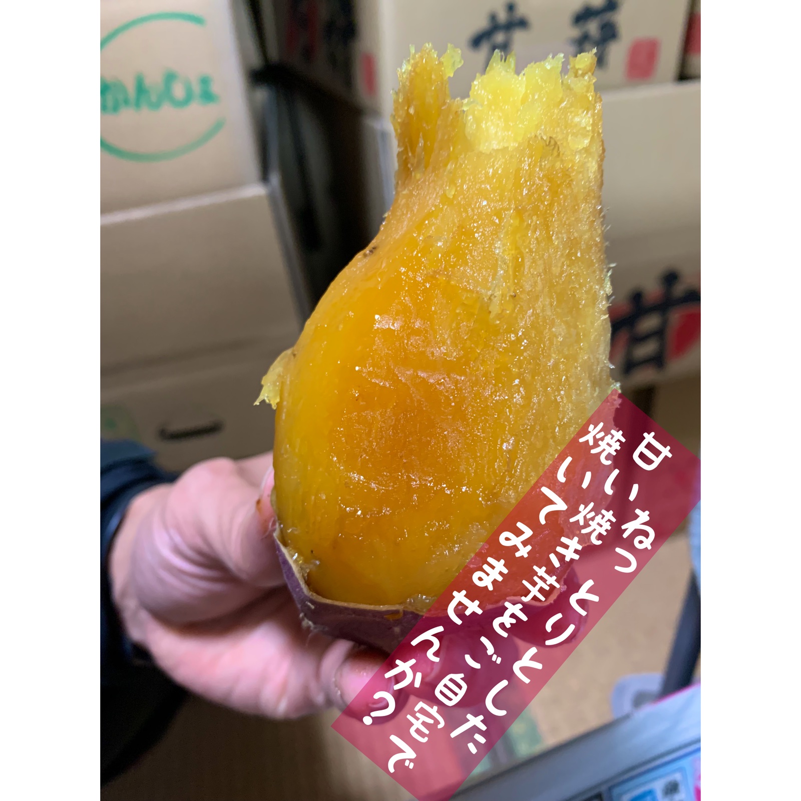 べにはるか&ふくむらさき食べ比べセット | 野菜/さつまいも 産直アウル