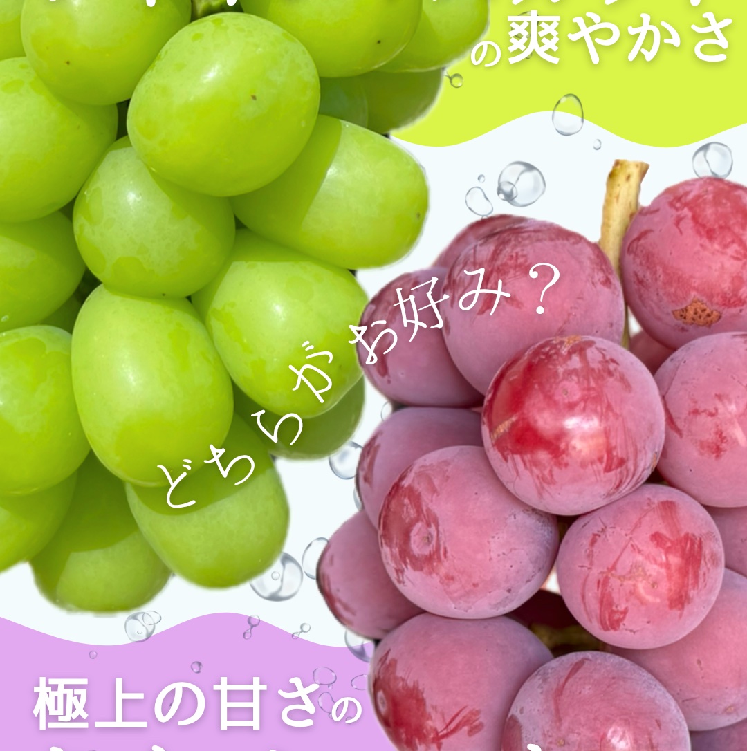 朝どれ新鮮】クイーンニーナとシャインマスカットの人気セット ｜ 果物