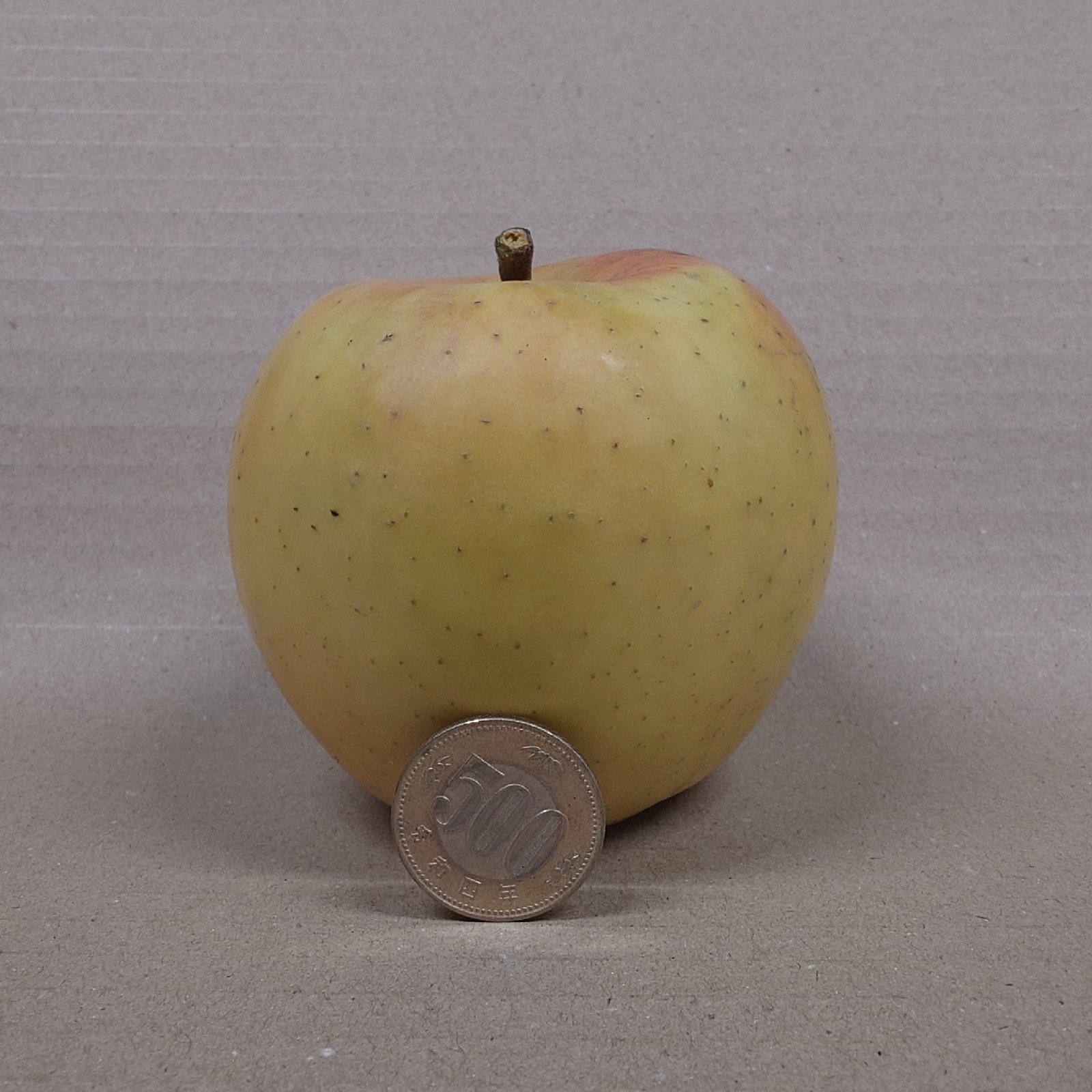 長野県 五輪久保産 ぐんま名月 3kg9玉 | 果物/りんご 産直アウル 農家