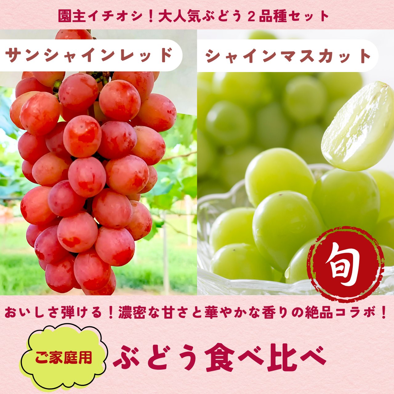 葡萄食べ比べ‼️シャインマスカット・サンシャインレッド・スカーレット ぶどう食べくらべ（山梨県・陽乃果フルーツ）の口コミ・レビュー