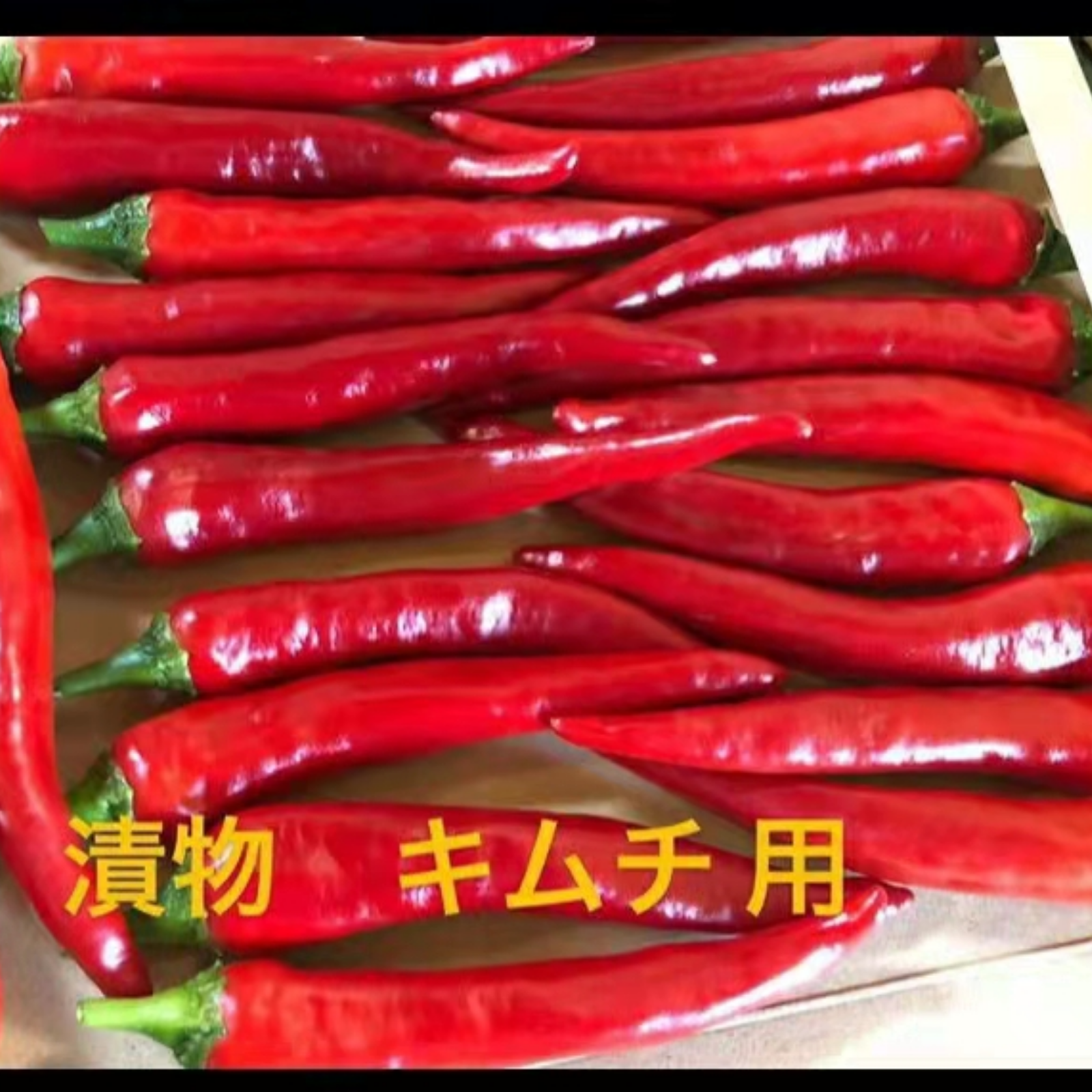 自宅栽培　冷凍唐辛子　激辛　10kg 自宅栽培 冷凍唐辛子 激辛 2kg - メルカリ