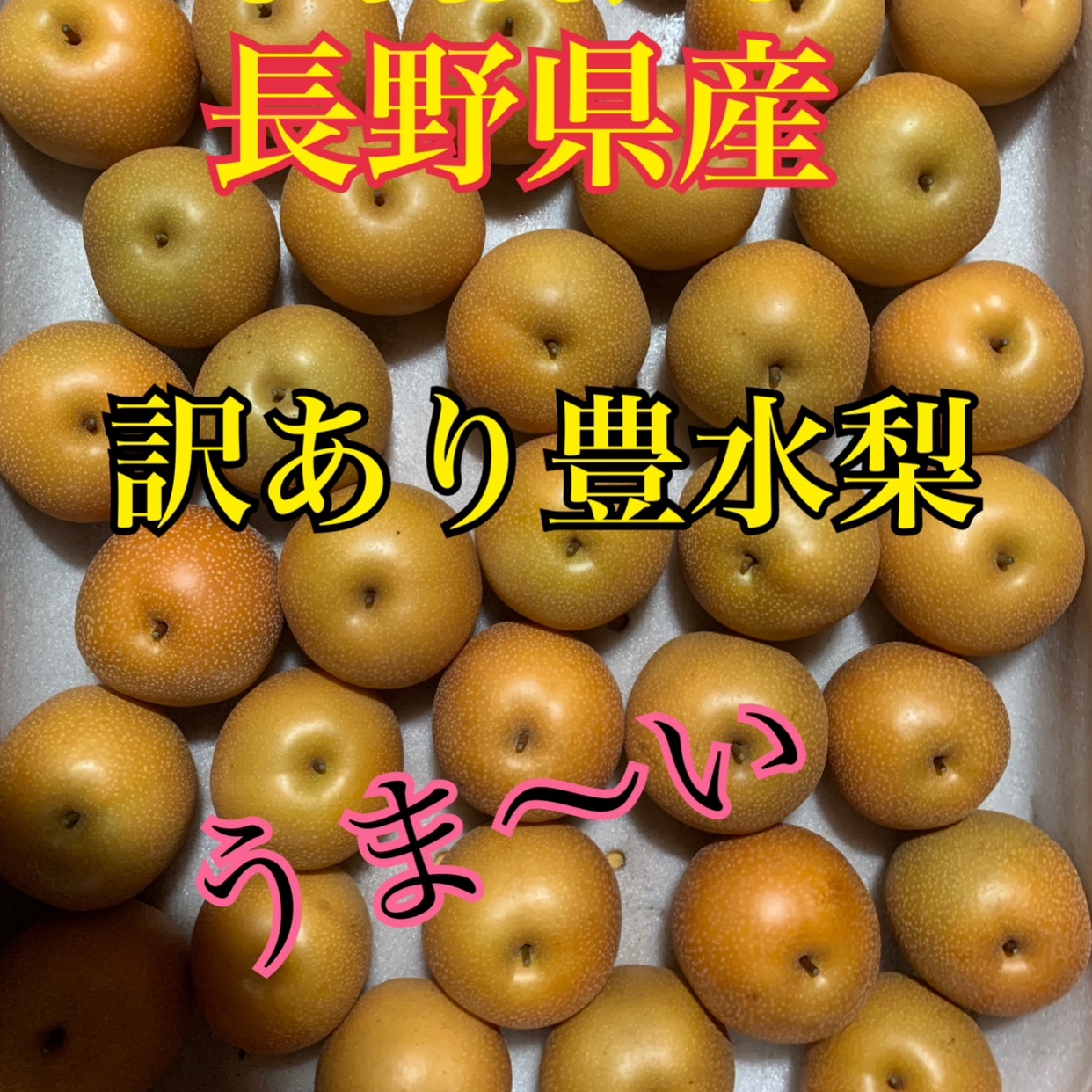 長野県産訳あり豊水梨 24玉 ｜ 果物/梨 産直アウル 農家・漁師など生産