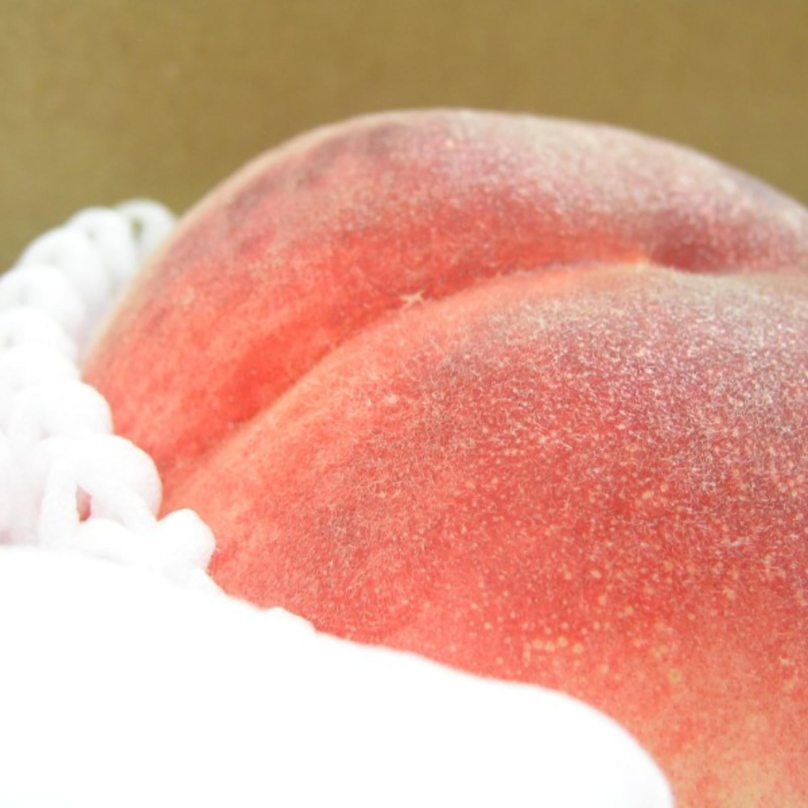 いももも7月後半~ 6月下旬～7月中旬】桃 2kg ｜ 果物/もも 産直アウル 農家・漁師など