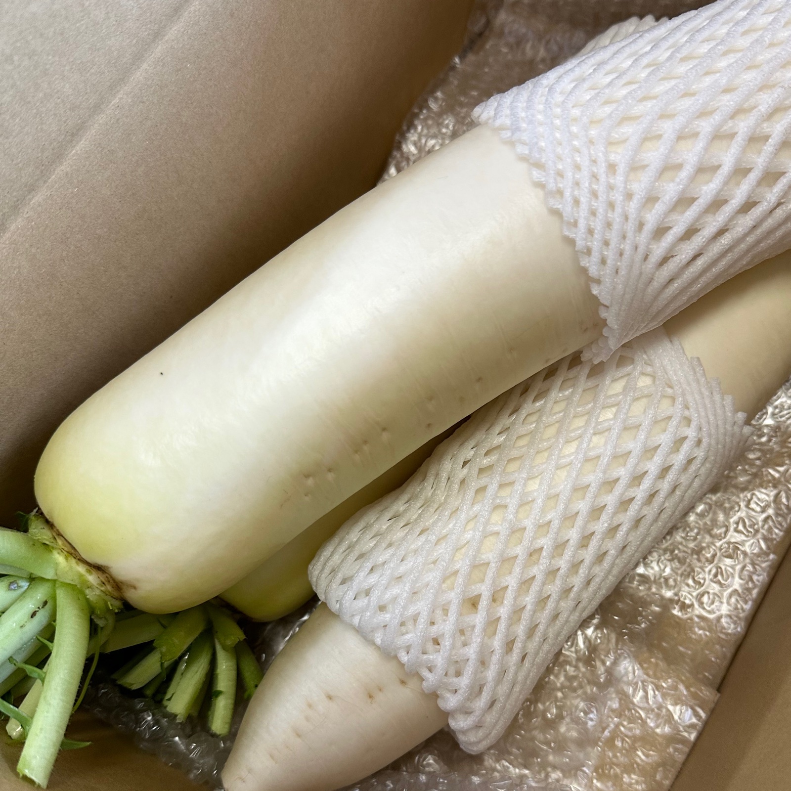 三浦半島産青首大根セット ｜ 野菜/大根 産直アウル 農家・漁師など